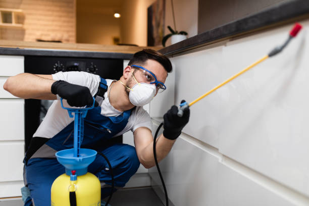Best Pest Control for Homes  in Lake Geneva, WI