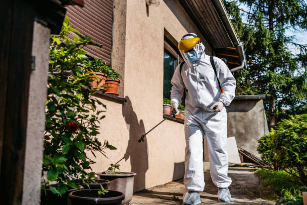 Best Mosquito Control Services  in Lake Geneva, WI