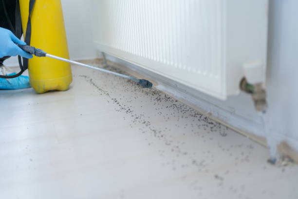 Reliable Lake Geneva, WI Pest Control Solutions