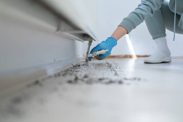 Best Commercial Pest Control Services  in Lake Geneva, WI